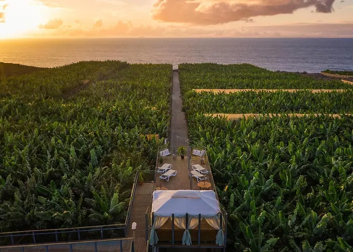 Hacienda La Dehesa (Adults Only)